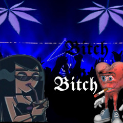 crazy b*tch