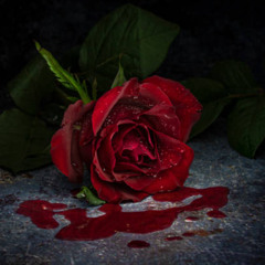 BLOODY ROSES