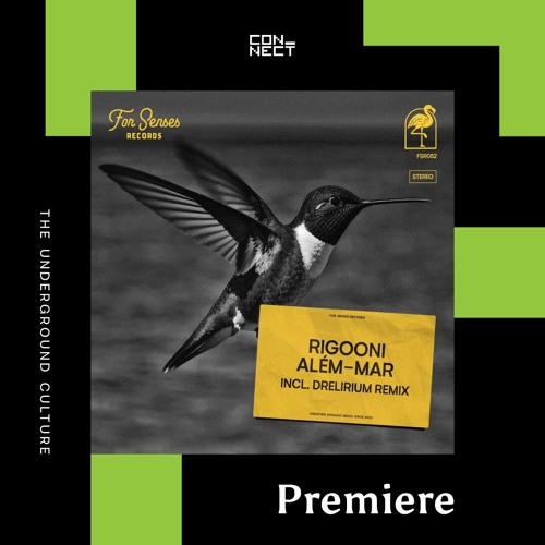PREMIERE: RIGOONI - Além Mar [For Senses Records]