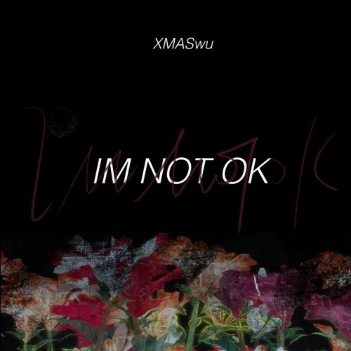 XMASwu - IM NOT OK「I wanna say im sorry but im not ok」【動態歌詞/pīn yīn gē cí】