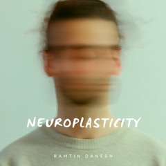 Neuroplasticity