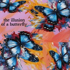 The Illusion of a Butterfly