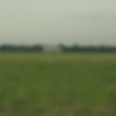 distante