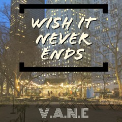 Wish it Never Ends
