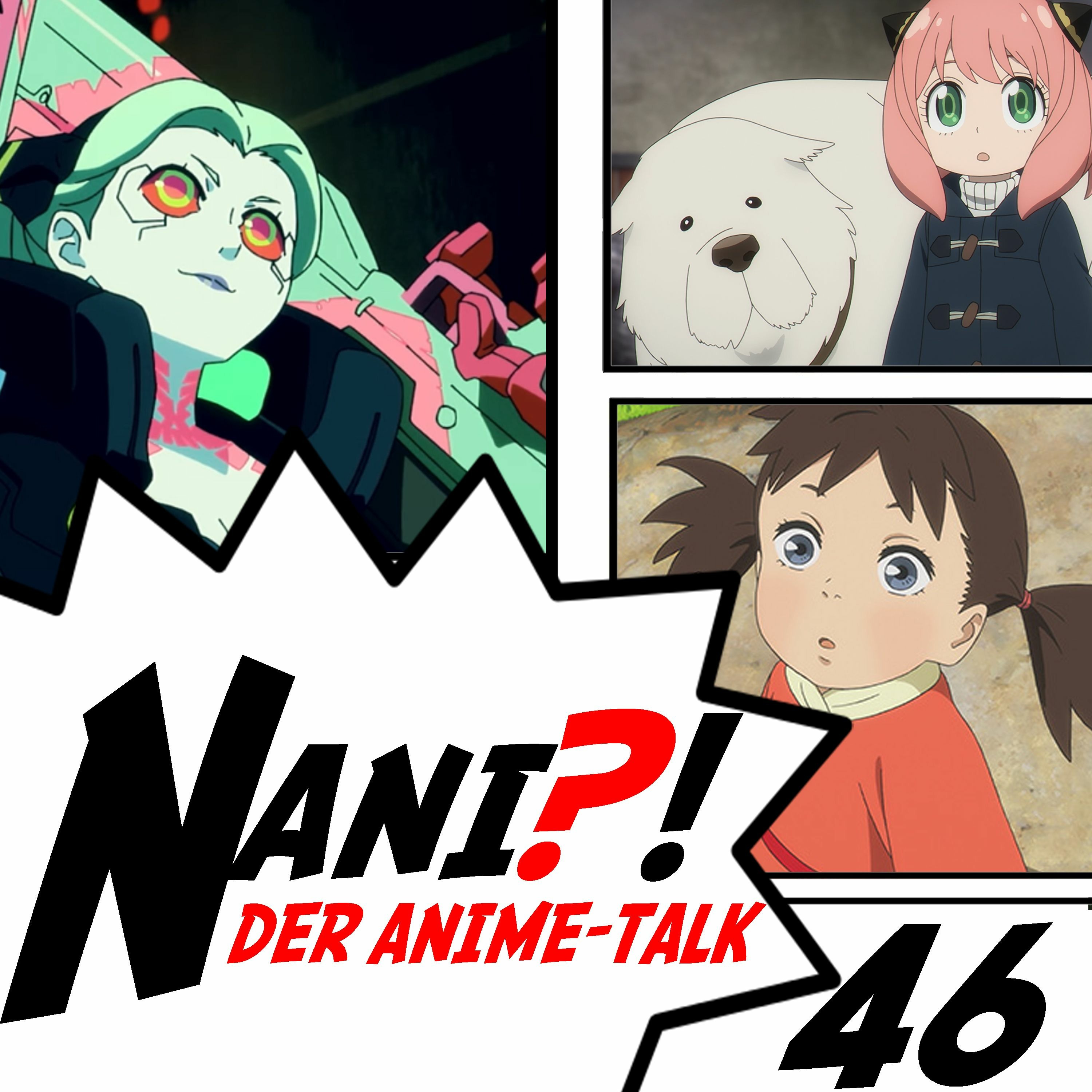NANI?!  Der Anime-Talk