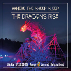 dj A.ka | WTSS | june 2025 | Freek Vreemd | Night Stage