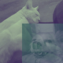 bad_news