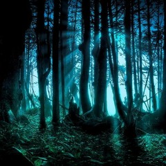 Darkness Of Tanzania