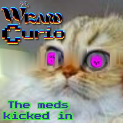 The Meds Kicked In