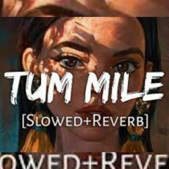 Tum Mile Slowed-Reverb  Neeraj Shridhar