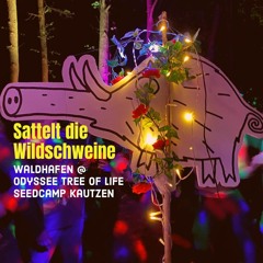 Scheibosan Sattelt Die Wildschweine @ Waldhafen -  Odyssee Tree Of Life / Seedcamp Kautzen 2022
