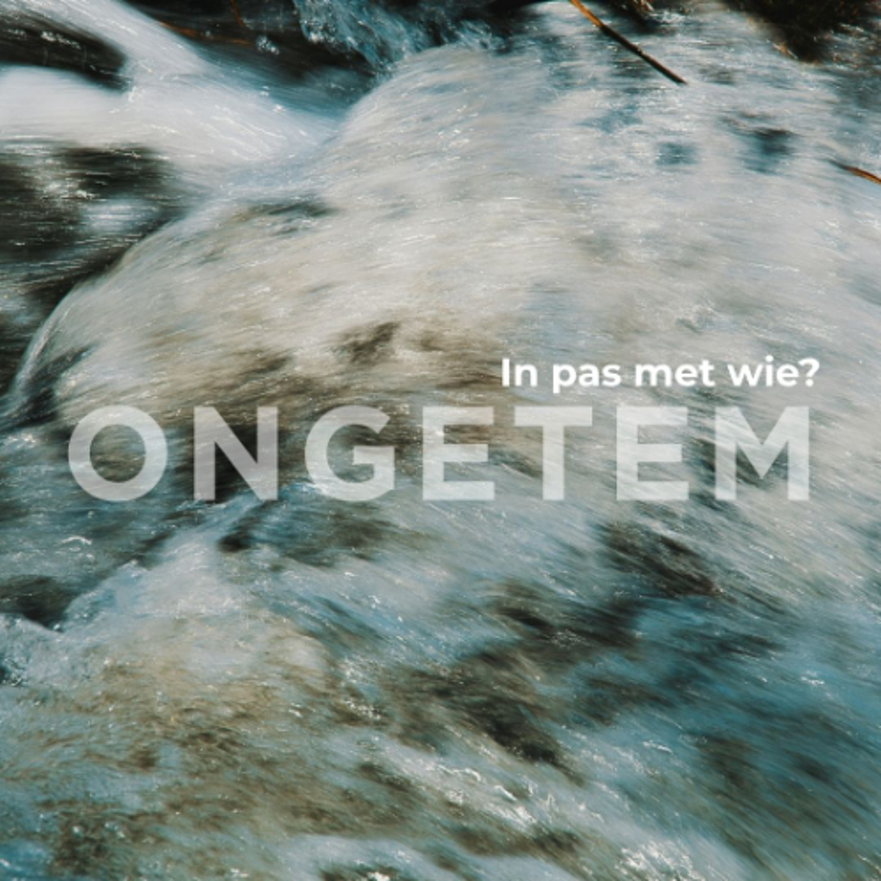 Ongetem: In pas met wie? deur Theo Geyser