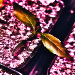 that's a loaded question