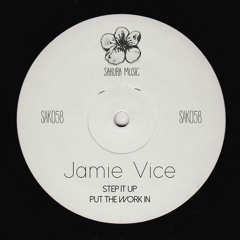 Jamie Vice - Put The Work In (OUT NOW)