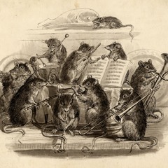 Bagatelle String Quartet 05-04-25