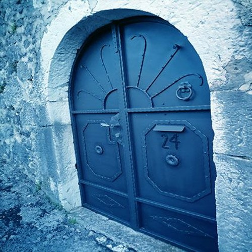 The Door Of Perception