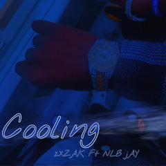 Cooling (2xZak x NLB jay