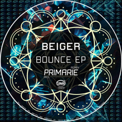 PREMIERE: Beiger - UN (Original Mix)[TZH237]