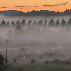 Thunderstorm and rain (yet again)