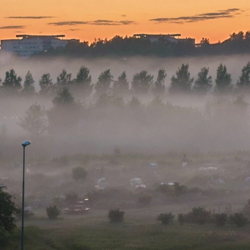Thunderstorm and rain (yet again)