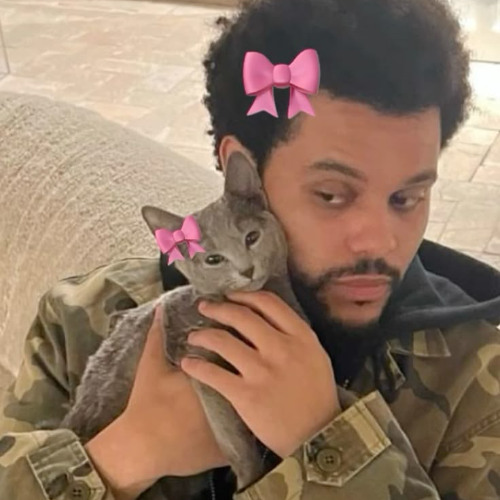 nothing compares [trance edit]