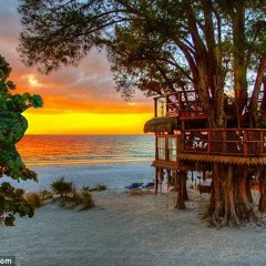 Treehouse Radio 27