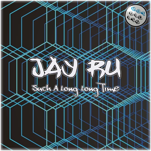 HOTDIGIT073 Jay Ru - Movin On (Paul B Retrix) (Preview)