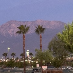 Señor Jesús mi vida rindo hoy a Ti..🌹 To You Dear Lord..🌺