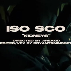 Iso Sco - Kidneys