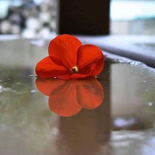 waiting 4 u (explicit)