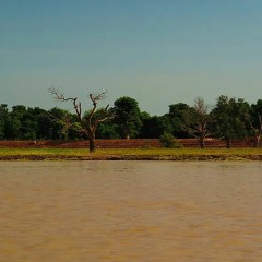 I Saw You at the Niger River