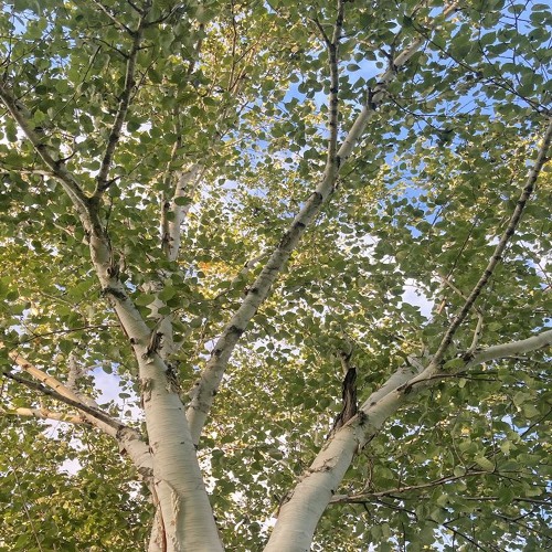 Errare w/ Nak and DJ Rain 020824