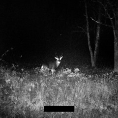 JACK DANIELS JR. - "CLAW AT THE DIRT"