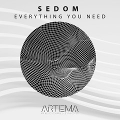 SEDOM - Everything You Need (Original Mix) (ARTEMA RECORDINGS)