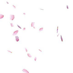 (torchhmxx) 9iine9 prod mirage