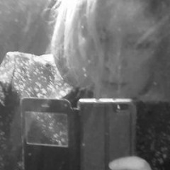 Animal Nocturno ( Granular )