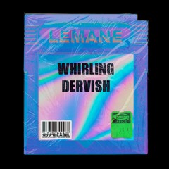 Whirling Dervish
