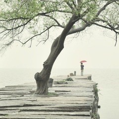 Nam bán cầu và Hokkaido - DTN Remix