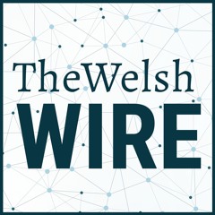 The Welsh Wire: The REAL Reason We Have a Talent Shortage and Solutions to Help Solve It.