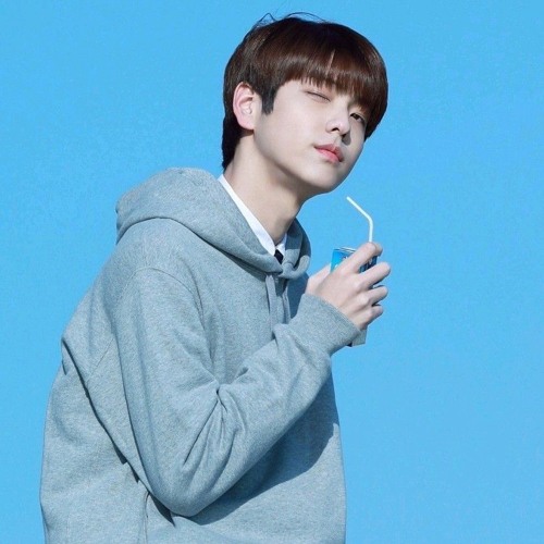 수빈 아린 돌핀