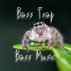 BassTrap & Bassmusic