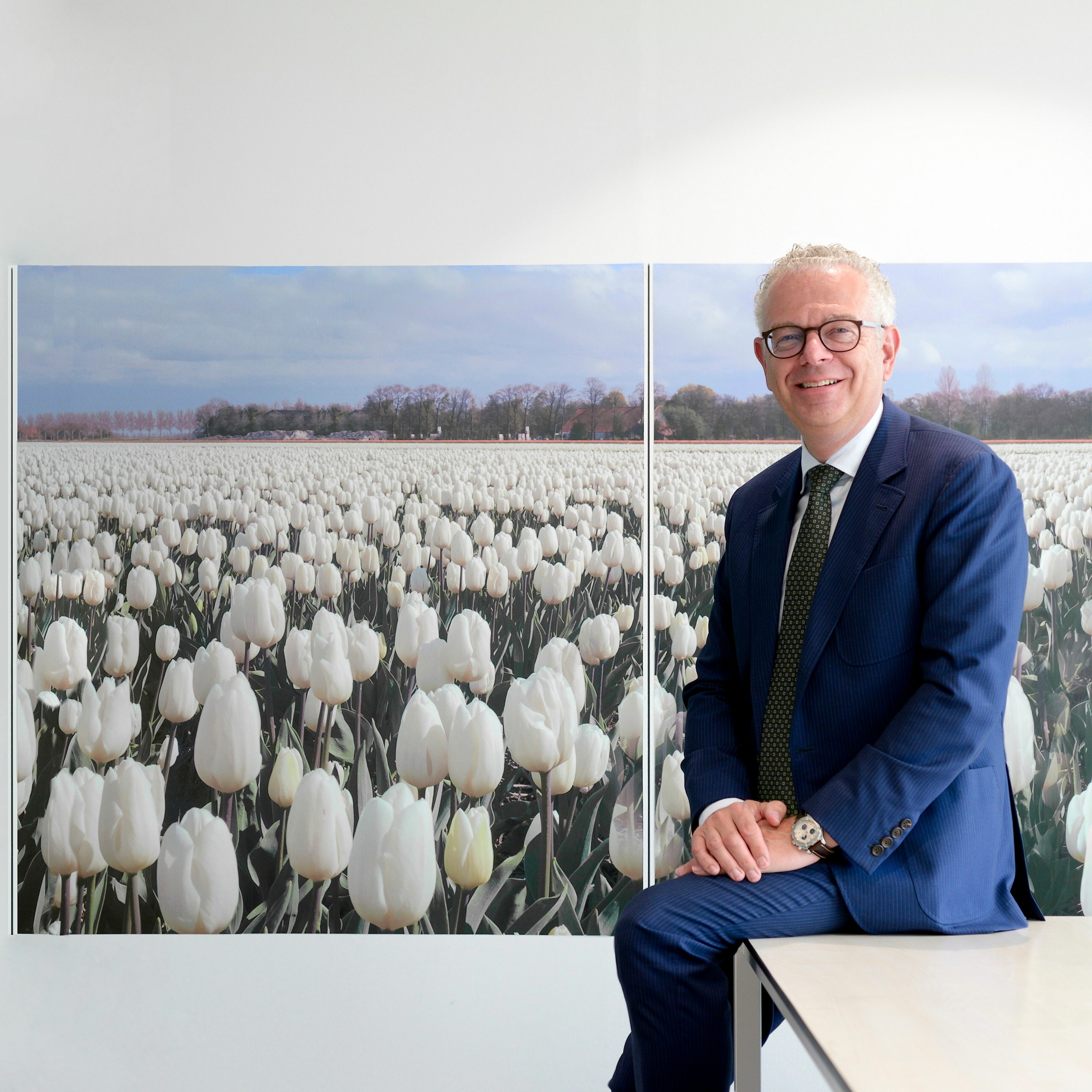 ING Sector inzichten