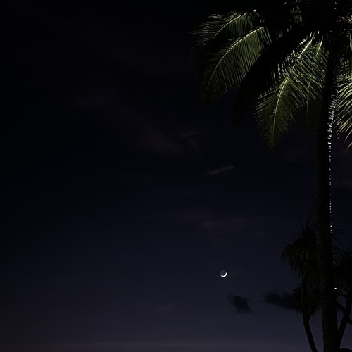 سكن الليل – آمال ماهر