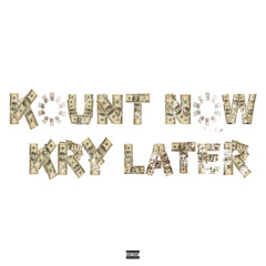 KOUNT NOW KRY LATER - rexv2