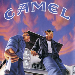 Camel Crush