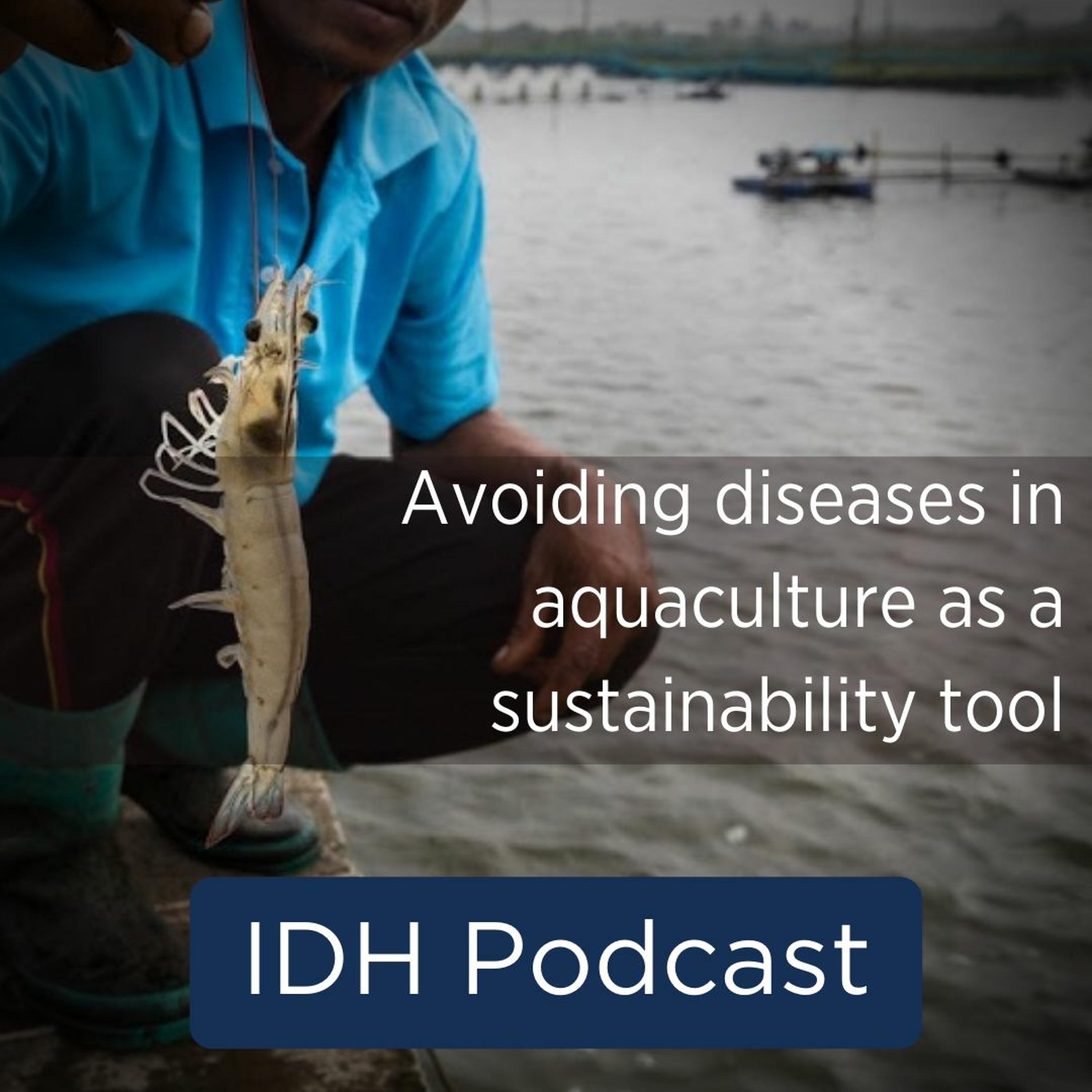 IDH Podcasts
