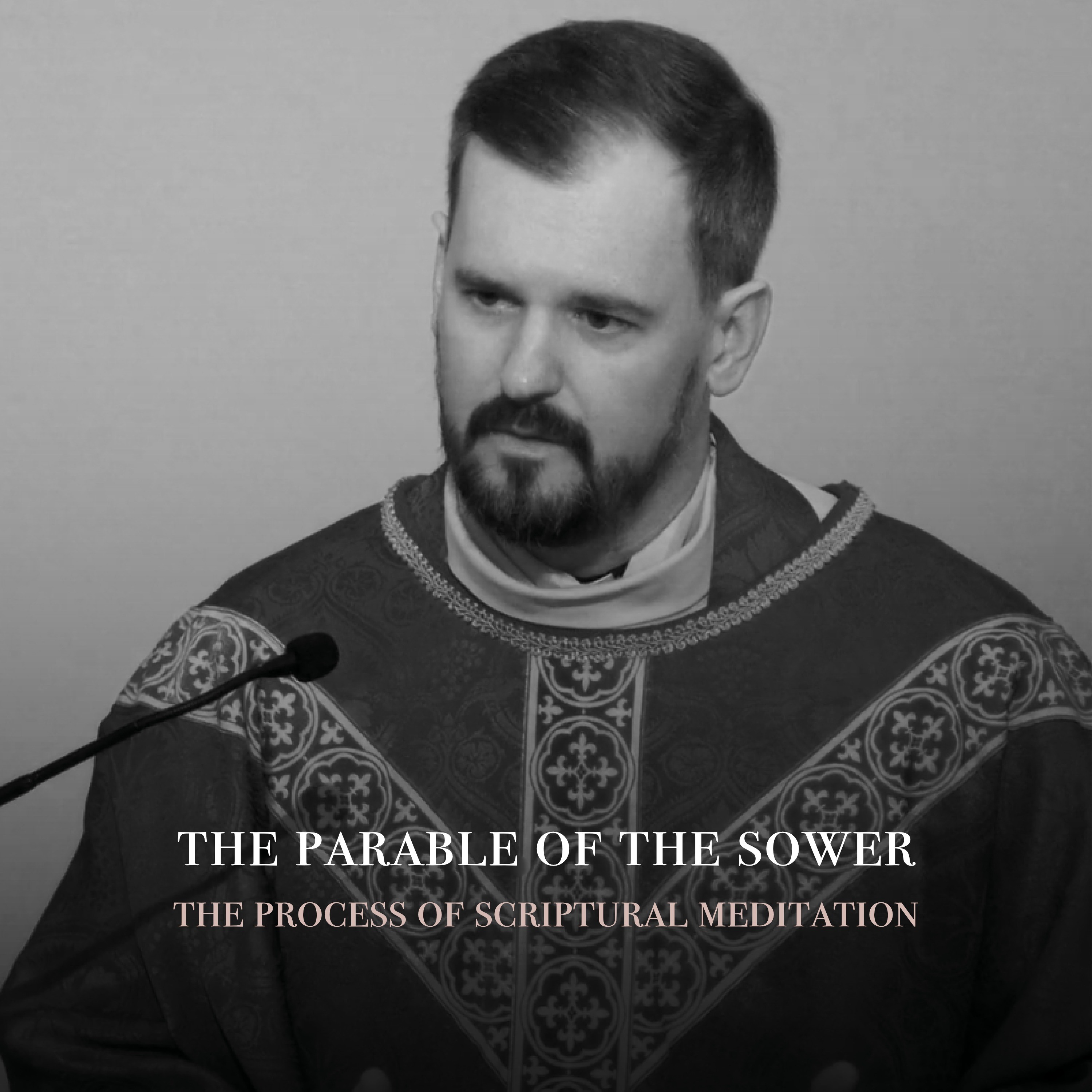 Fr. Barry Braum - Homilies and Conferences