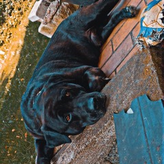 melodyofourheart.mp3 x masisao.mp3