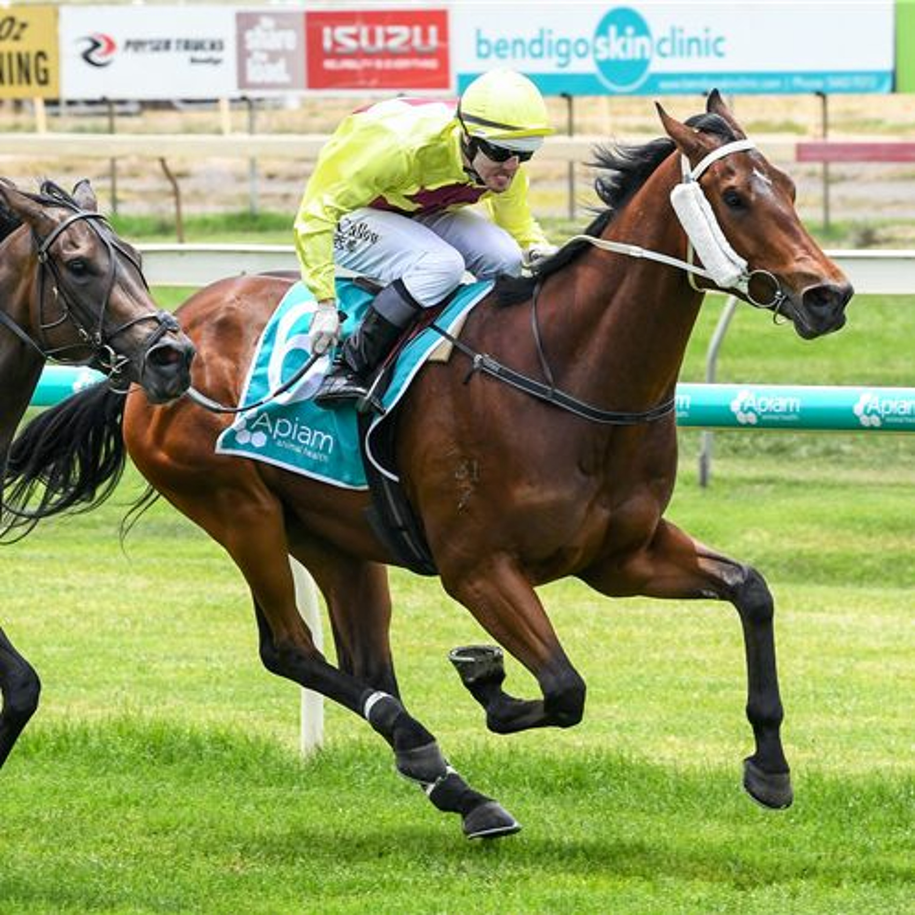 Mildura Cup Day Punting Preview