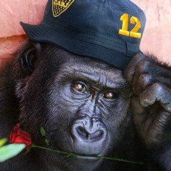 Fuimos Destinados-Ezlhap-Prod. Greenlonely